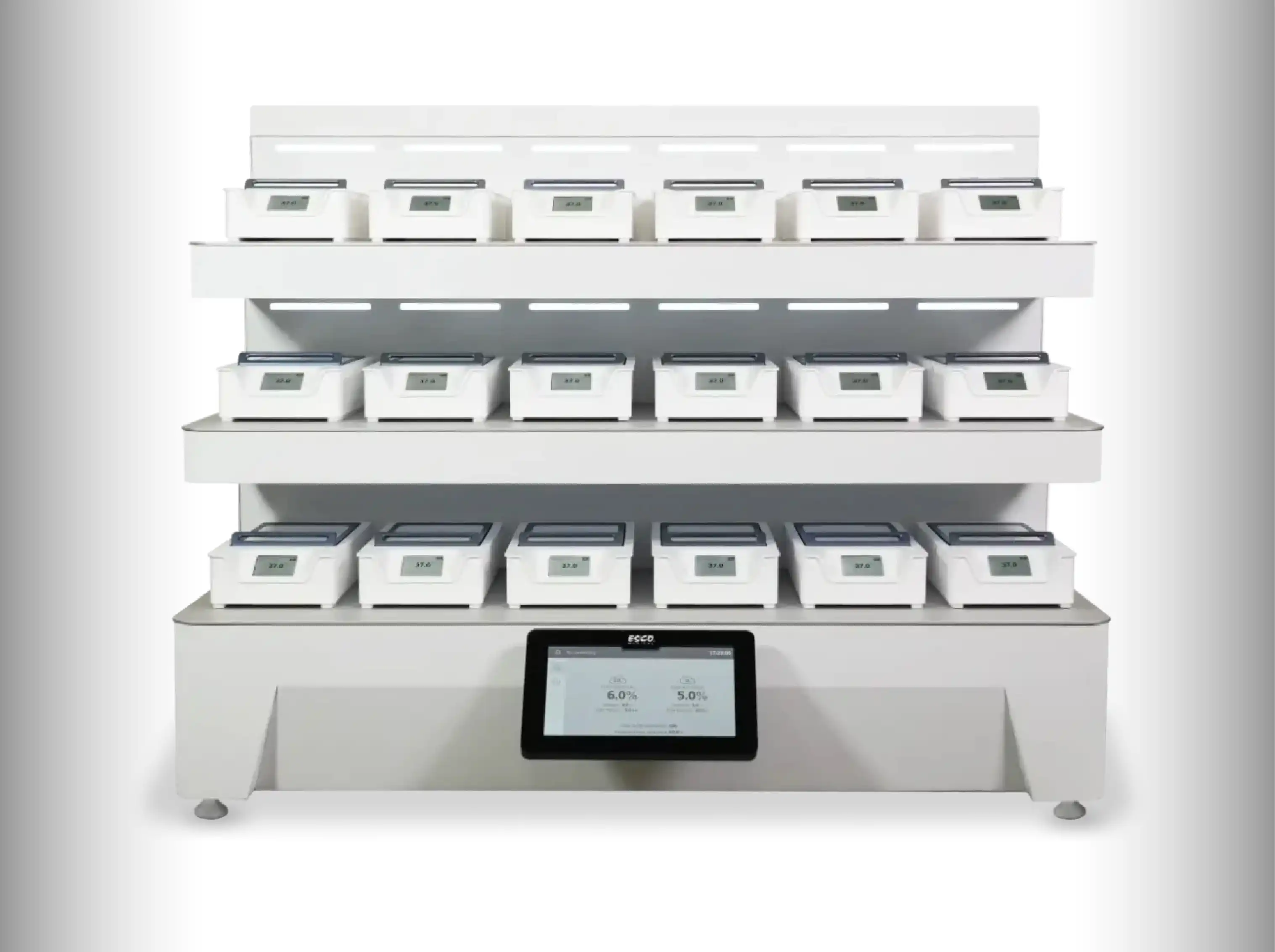 In Vitro Fertilization (IVF) | Jordan